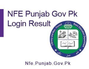 NFE-Punjab-Gov-Pk-Login-Result